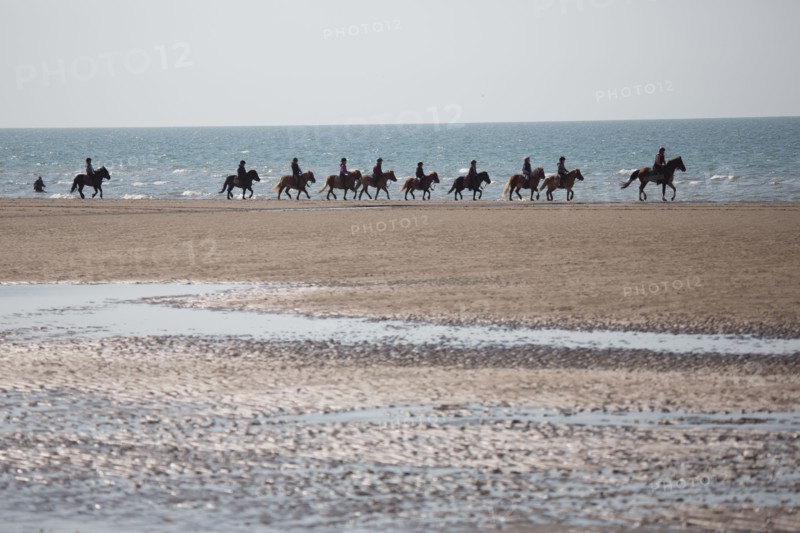 Villers-sur-Mer, chevaux et poneys sur la plage