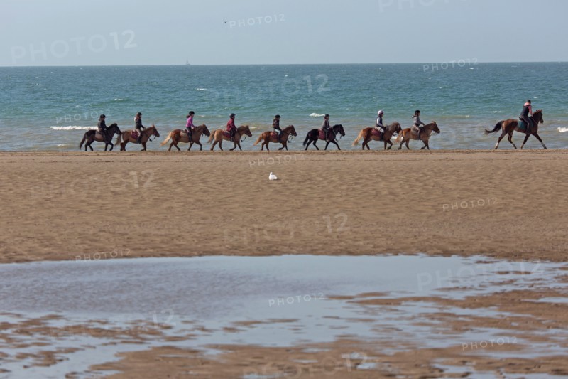 Villers-sur-Mer, chevaux et poneys sur la plage
