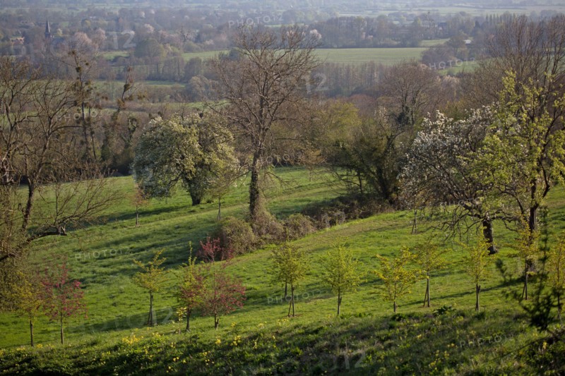 Beaumont-en-Auge, Normandie