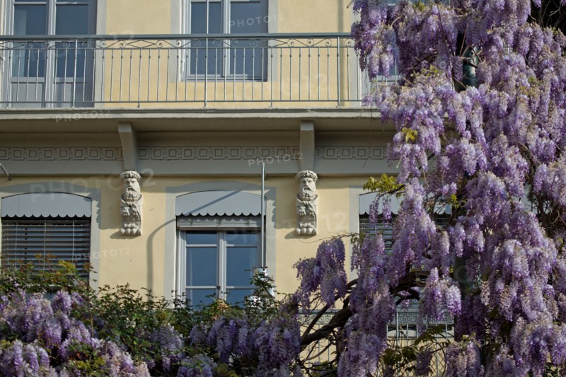 Lyon, Montee des Carmelites