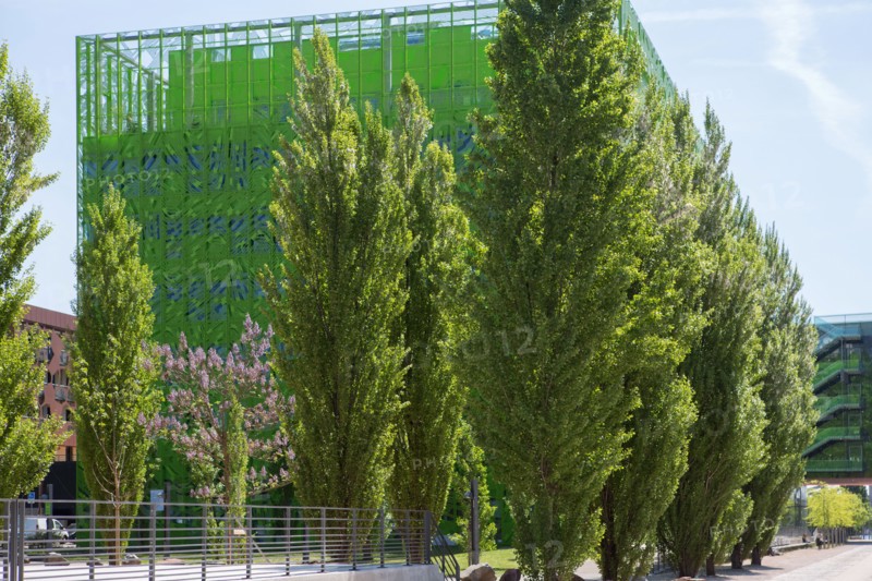 Lyon, Immeuble "Le Cube Vert" dans le quartier Confluence