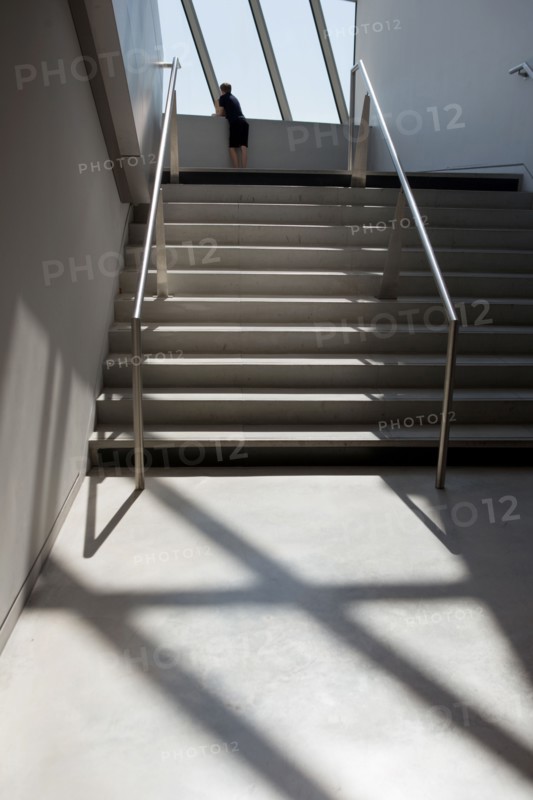 Lyon, musee des Confluences