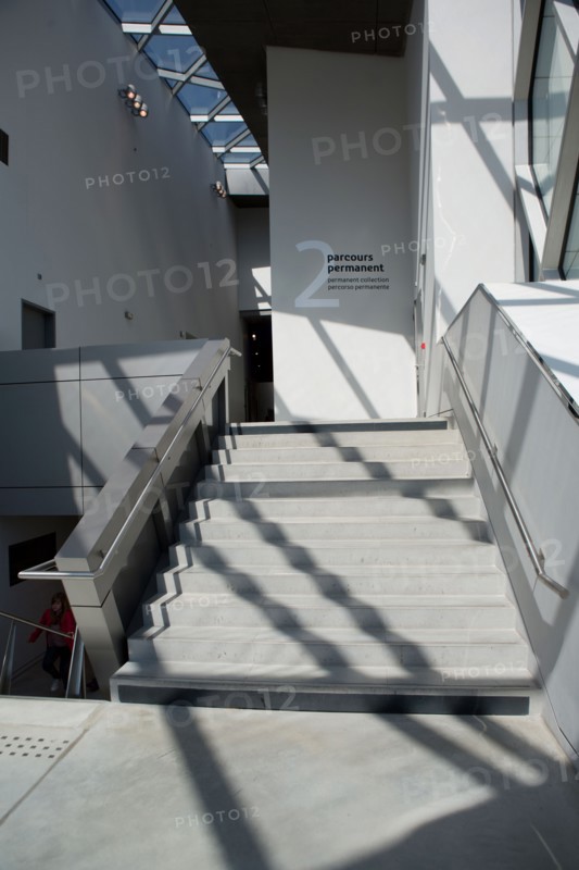 Lyon, musee des Confluences