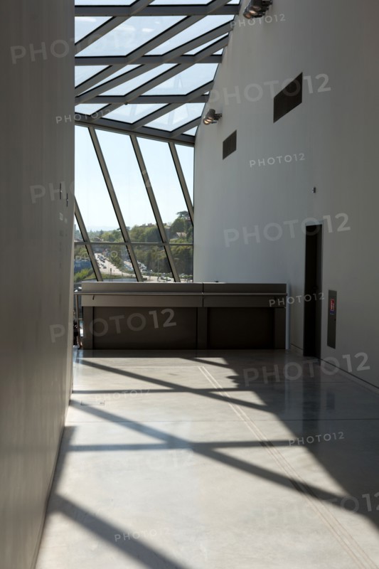 Lyon, musee des Confluences