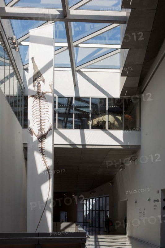 Lyon, musee des Confluences