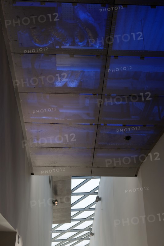Lyon, musee des Confluences