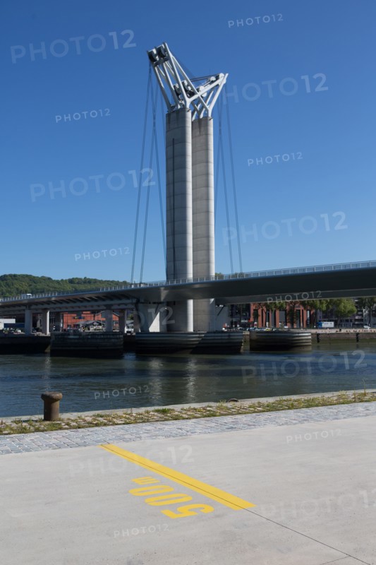 Rouen, Pont Flaubert