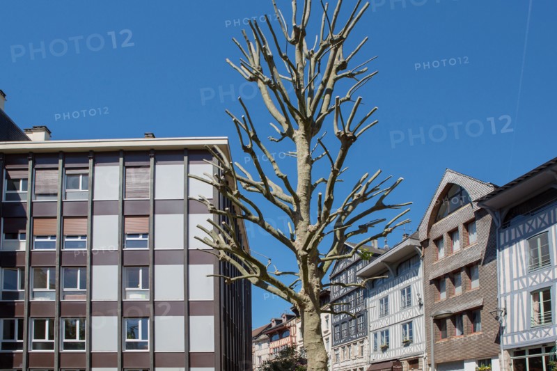 Rouen, Rue Eau-de-Robec