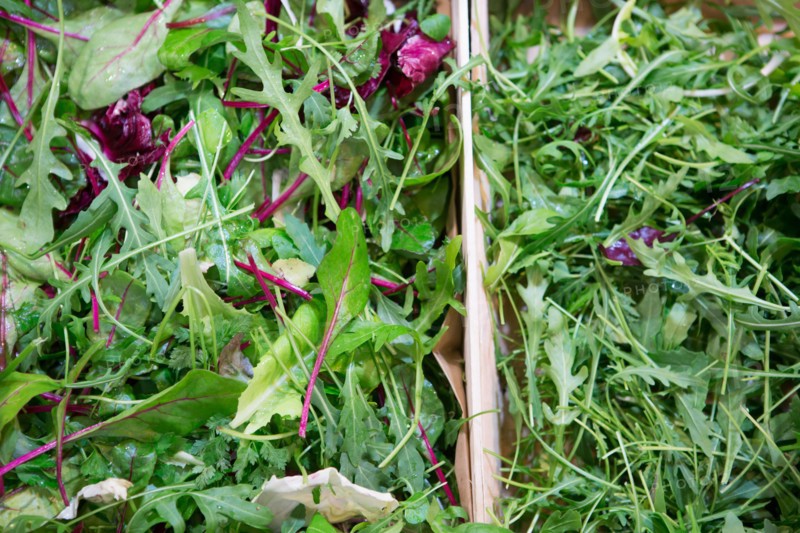 Salade roquette
