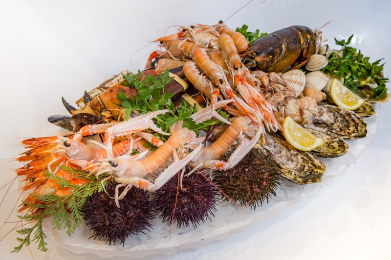 Plateau de fruits de mer