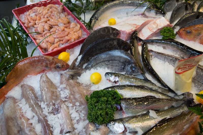 Poissons frais