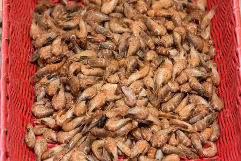Crevettes grises