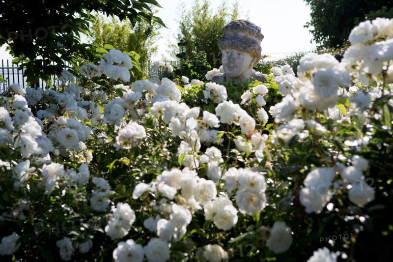 Honfleur, Jardin des Personnalités