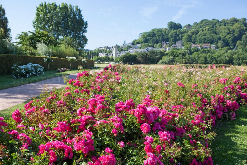 Honfleur, Jardin des Personnalités