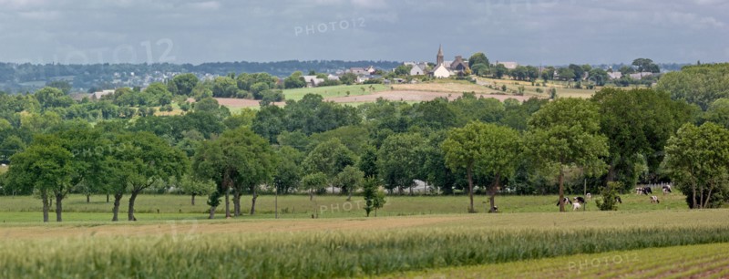 Panorama sur le village d'Ardevon et les champs