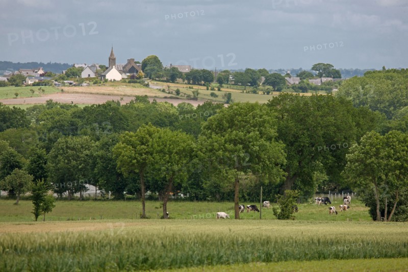 Baie du Mont-Saint-Michel, village d'Ardevon