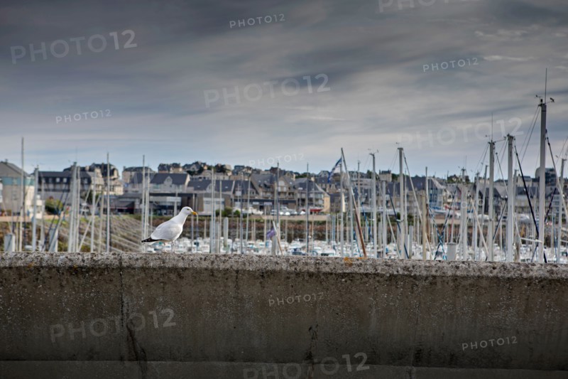 Port de Granville