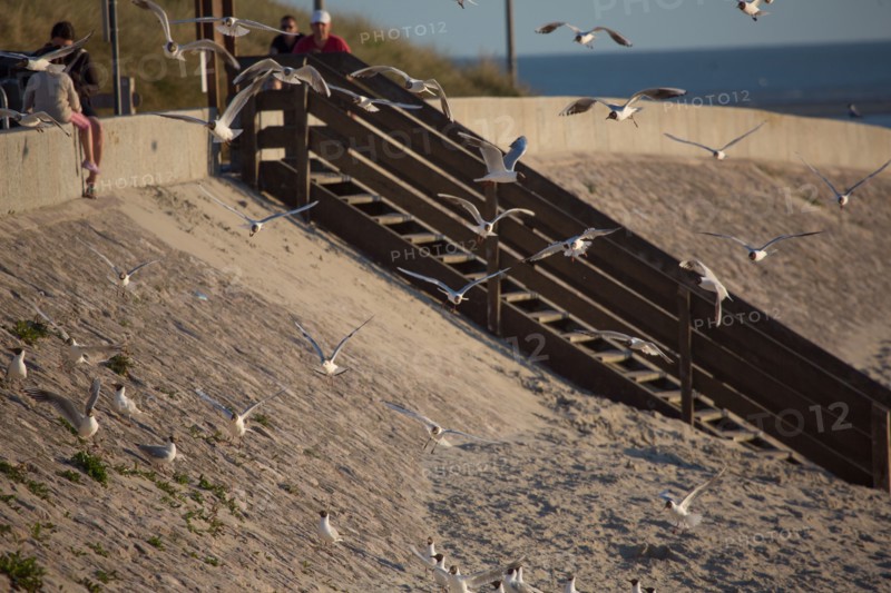 Berck Plage