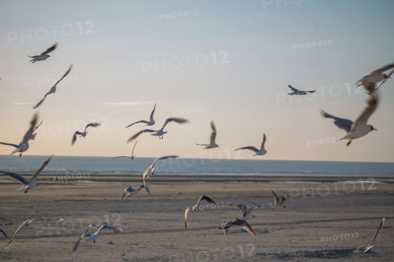 Berck Plage