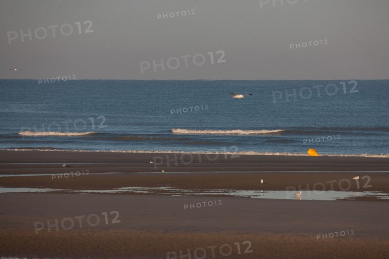 Fort-Mahon-Plage, Baie de Somme