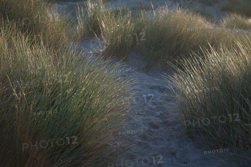 Fort-Mahon-Plage, Baie de Somme