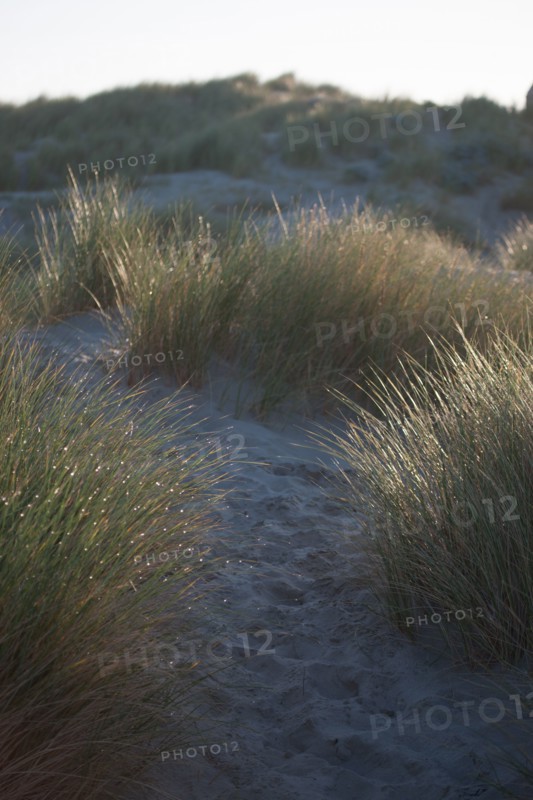 Fort-Mahon-Plage, Baie de Somme