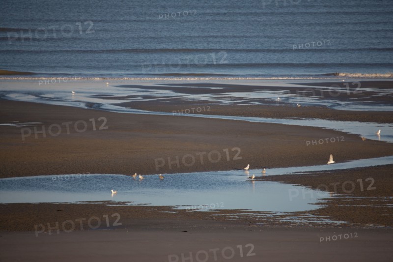 Fort-Mahon-Plage, Baie de Somme