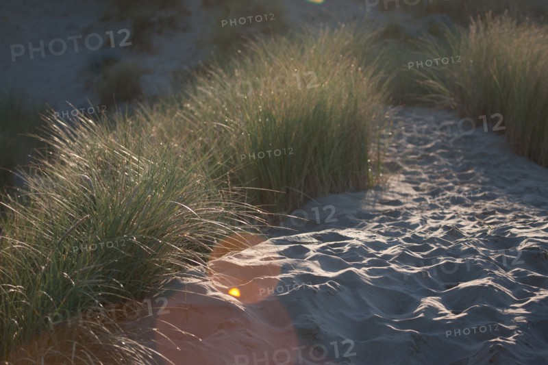 Fort-Mahon-Plage, Baie de Somme