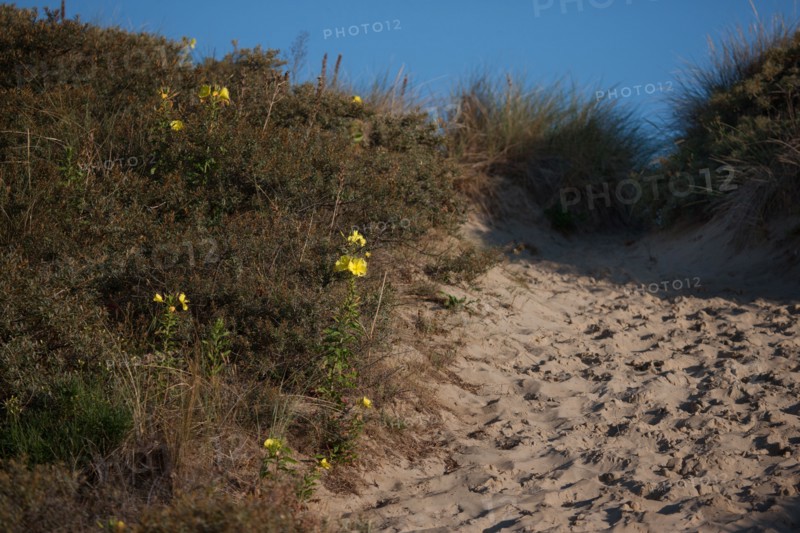Fort-Mahon-Plage, Baie de Somme