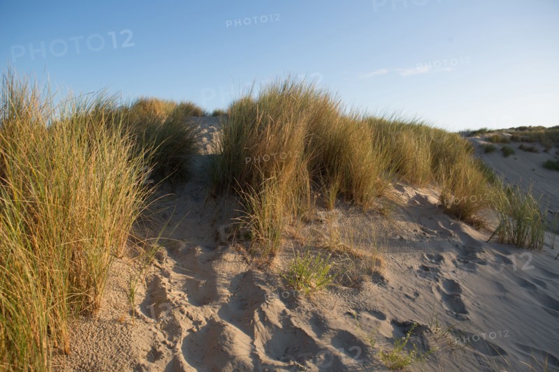 Fort-Mahon-Plage, Baie de Somme
