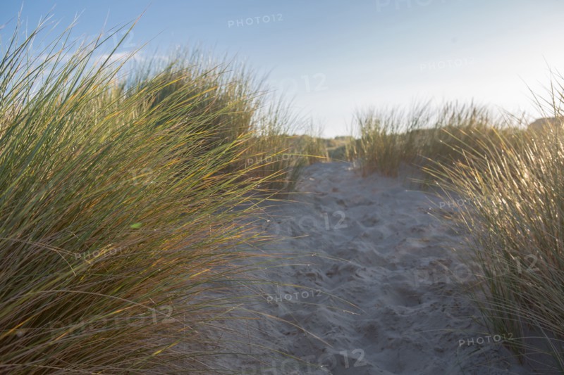 Fort-Mahon-Plage, Baie de Somme