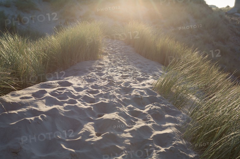 Fort-Mahon-Plage, Baie de Somme
