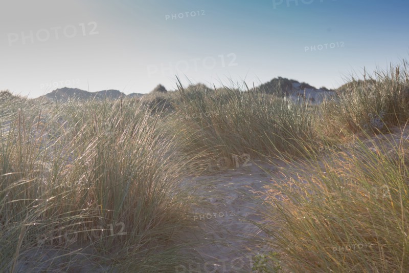 Fort-Mahon-Plage, Baie de Somme