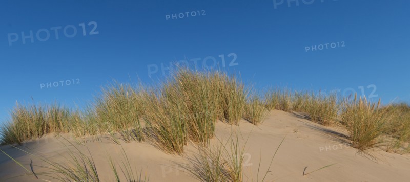 Fort-Mahon-Plage, Baie de Somme