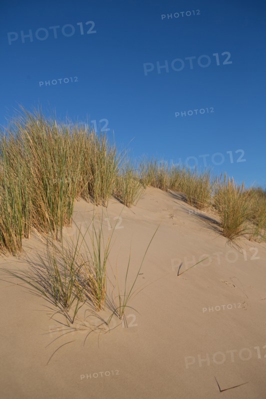 Fort-Mahon-Plage, Baie de Somme