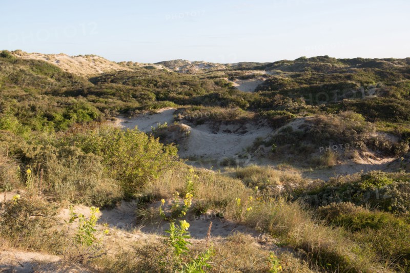 Fort-Mahon-Plage, Baie de Somme