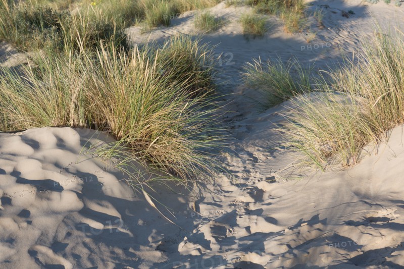 Fort-Mahon-Plage, Baie de Somme
