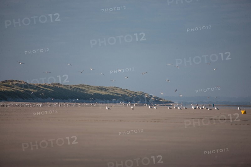 Quend, Somme