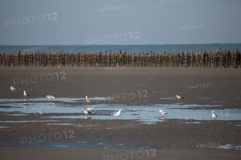 Quend, Somme