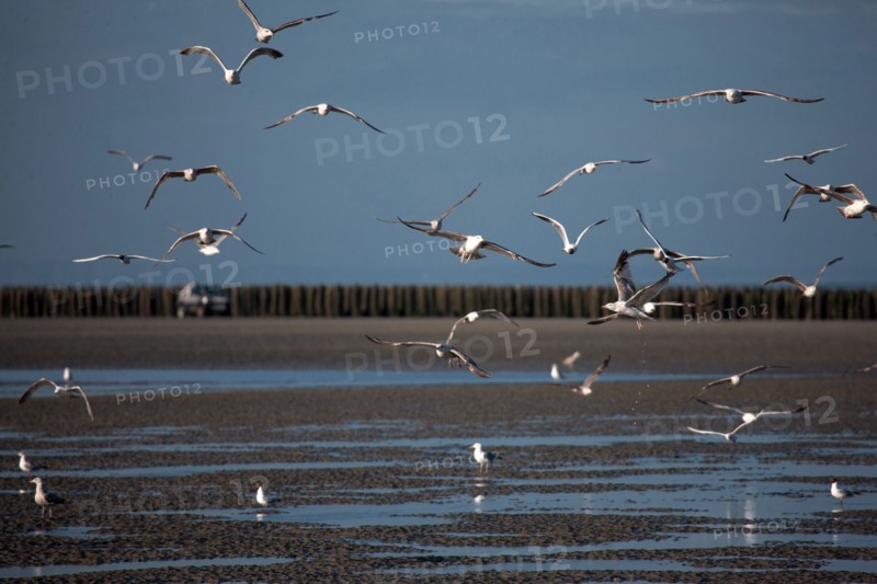 Quend, Somme