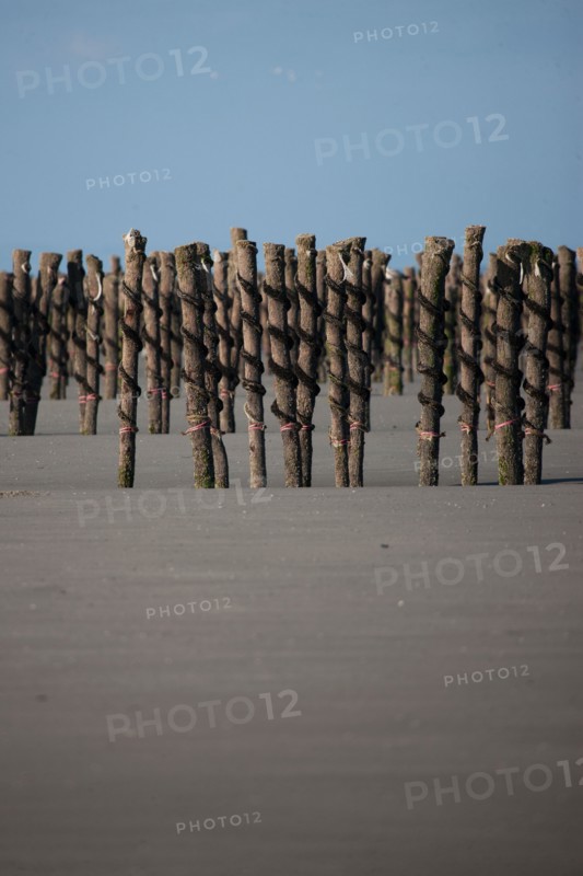 Quend, Somme