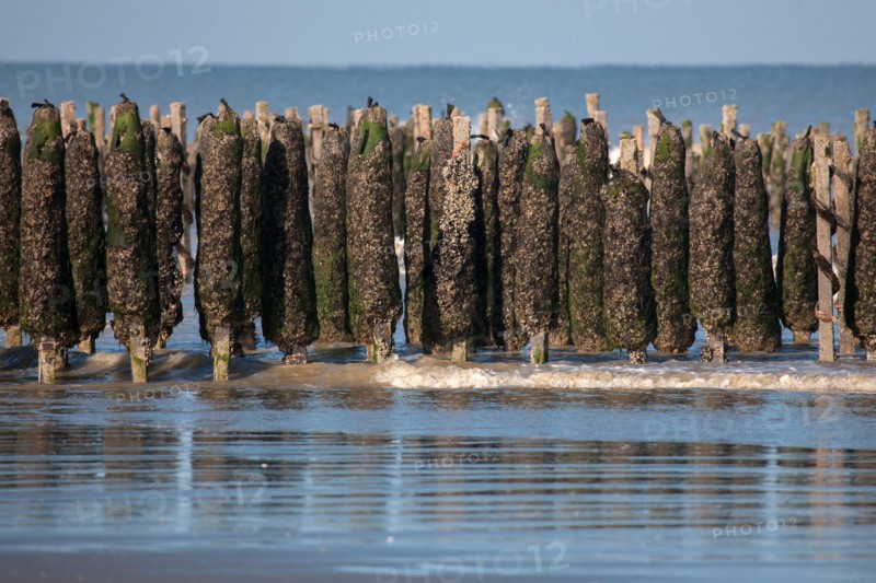 Quend, Somme