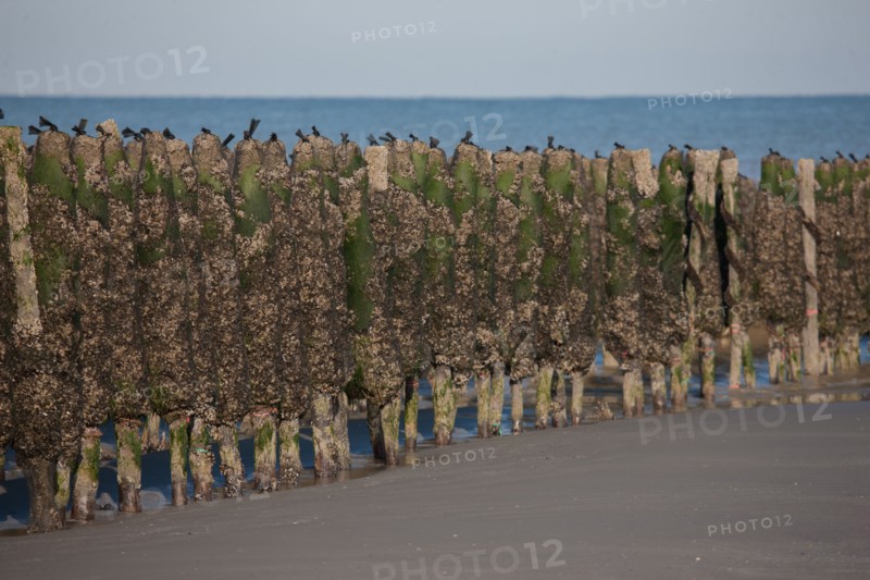 Quend, Somme