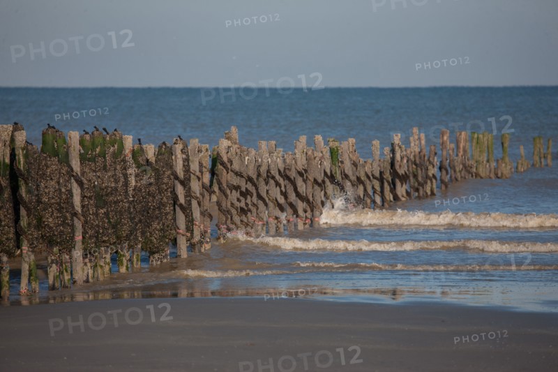 Quend, Somme