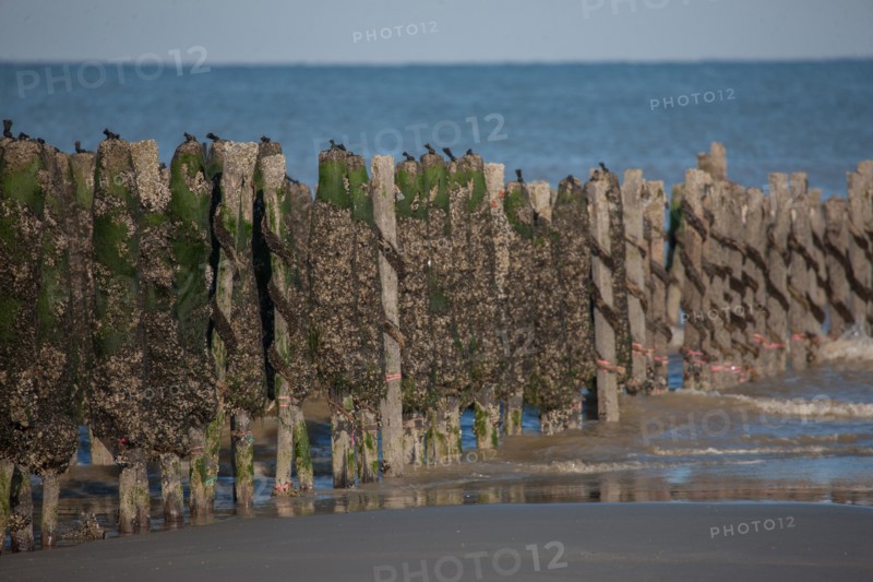 Quend, Somme