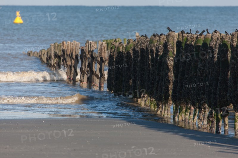Quend, Somme