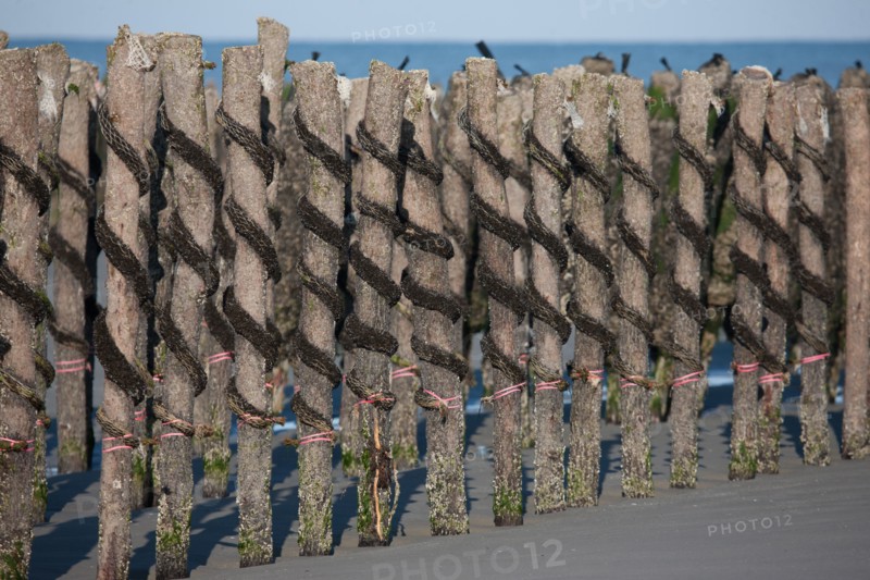 Quend, Somme