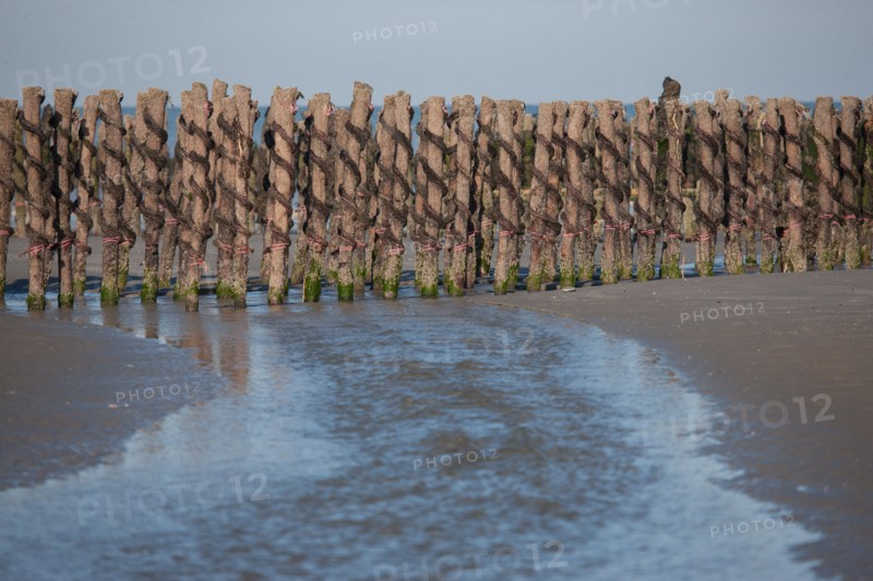 Quend, Somme