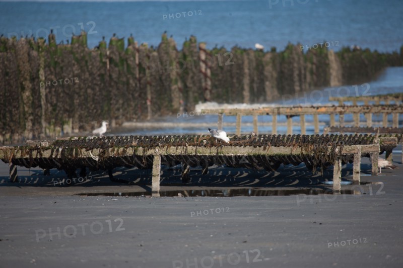 Quend, Somme