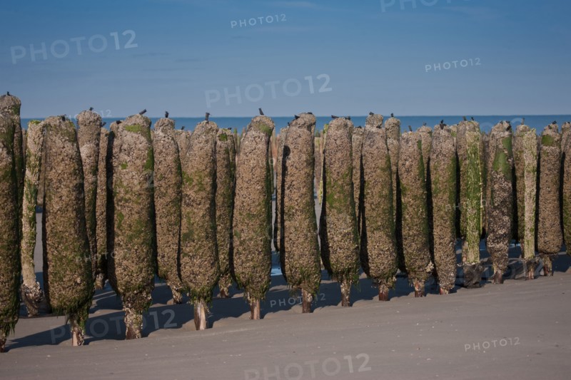 Quend, Somme